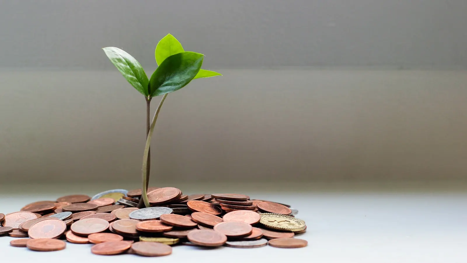 Coparticipação em Plano de Saúde: Como funciona e quando vale a pena?
